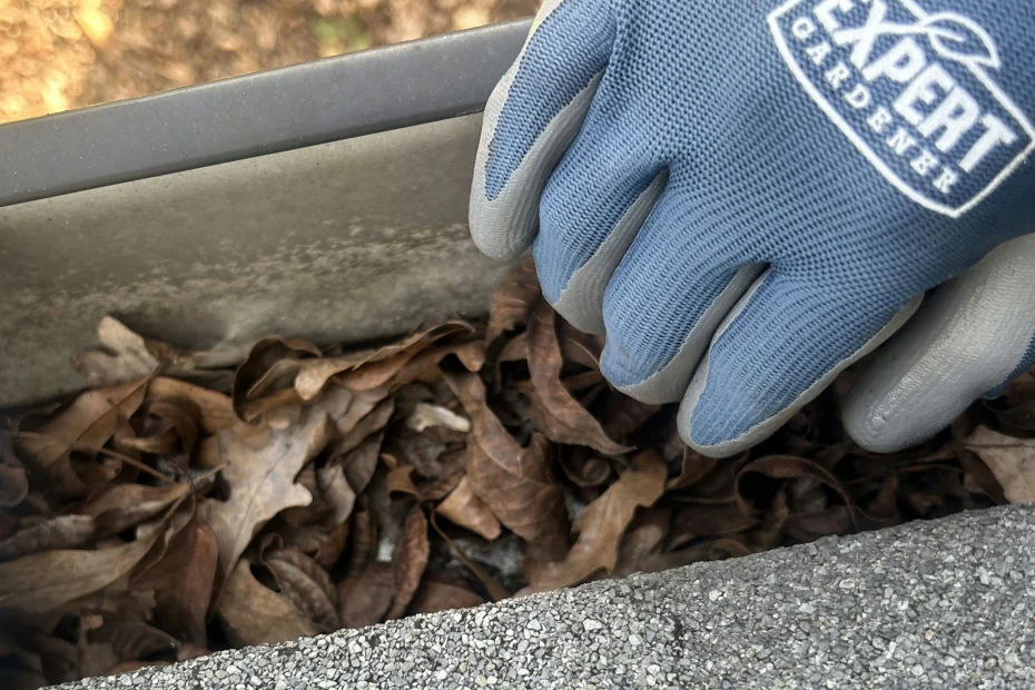 Gutter Cleaning Oberlin