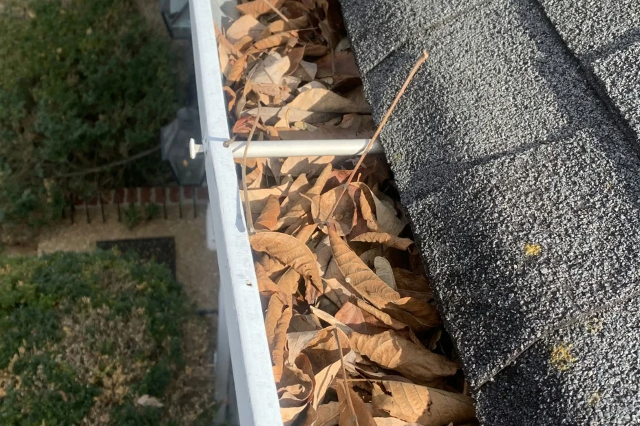 Gutter Cleaning Oberlin