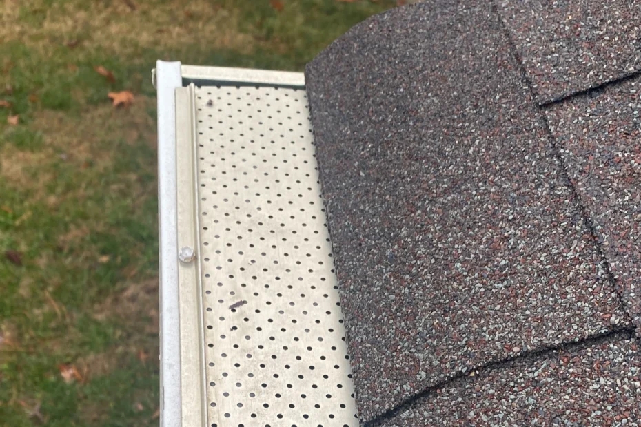 Gutter Cleaning Oberlin